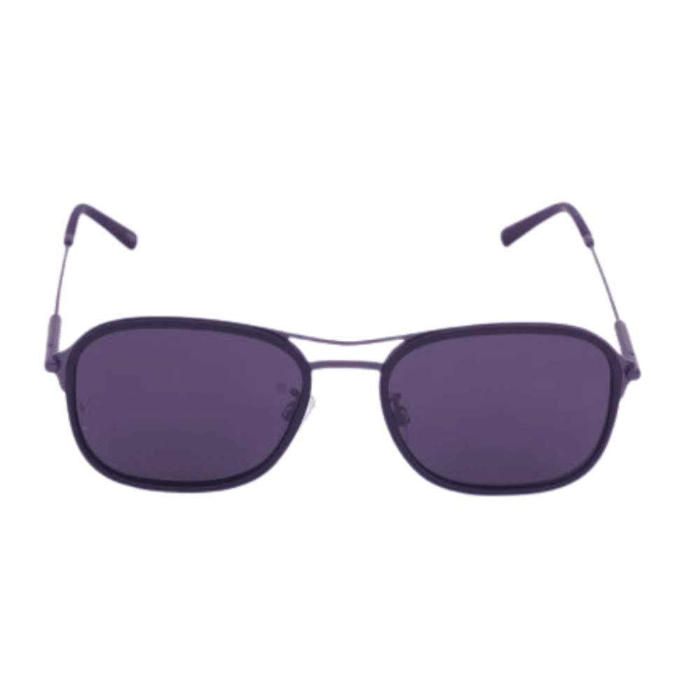 Velocity Polarized Wayfarer Sunglasses.