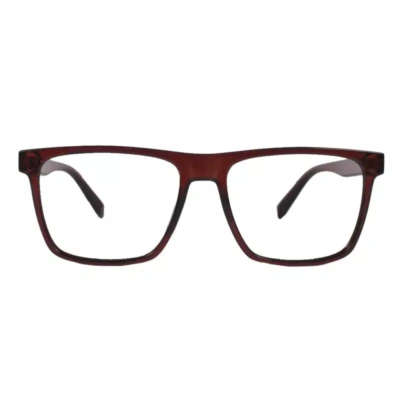 Brown Wayfarer