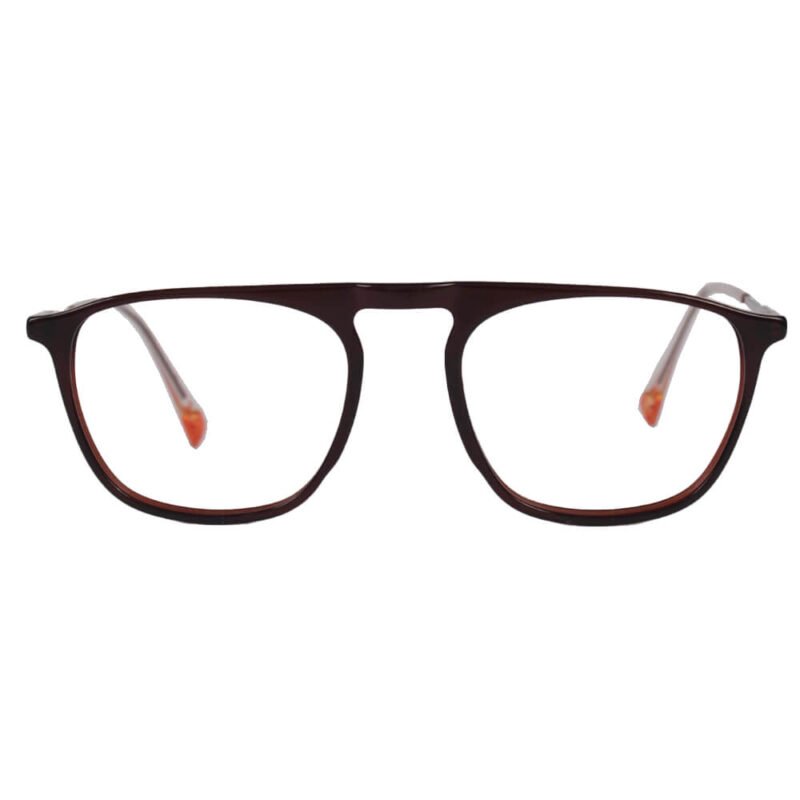 Brown Wayfarer