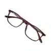 Red Wayfarer