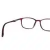 Red Wayfarer