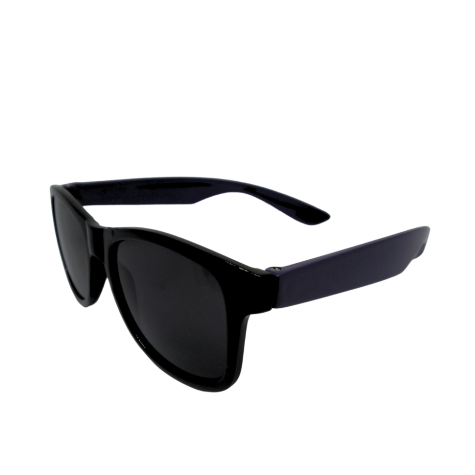 Black Purple Wayfarer Sunglasses Kids